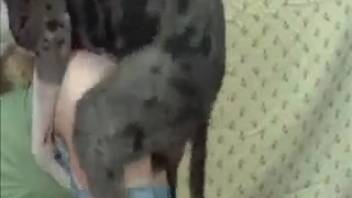 Rear entry pounding with a steamy vixen in tight-fitting denim