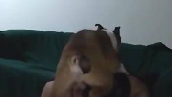 Dog humps woman on the couch and cums inside her vagina