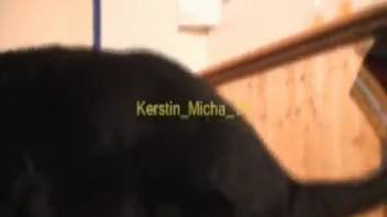 Ebony canine banging a dark-clad teenage girl in doggy position
