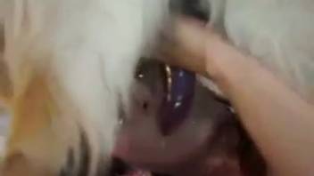 Aroused lady takes the delicious canine dick in both openings