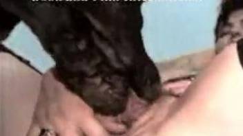Hairy pussy slut gets fucked by a big-dicked horny dog