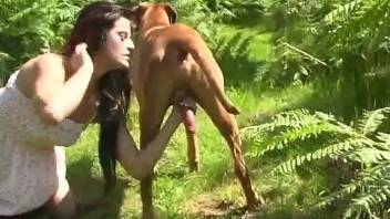 European beauty sucks on a dog's cock outdoors