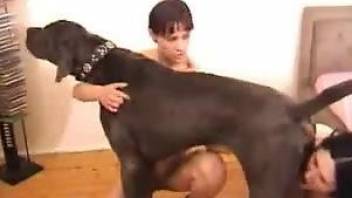 Sunny Xnxx Animal - Matures are sharing the dog cock in a sunny outdoor zoo tryout