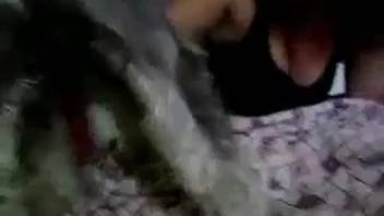 Homemade bestiality video featuring a hot lady and her dog