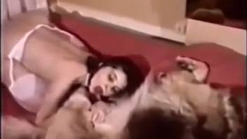 Aroused novice recorded while handling the canine's penis