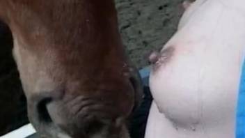 Hardcore makeout and horse cock jerking outdoors