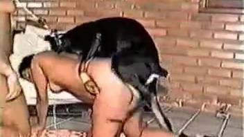 Collection of rear-entry sex sessions involving canines