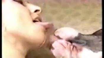 Collection of animal kissing scenes with a bit of oral sex on women