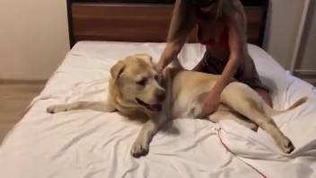 Disguised young girl recorded in a pleasurable sex encounter with a canine