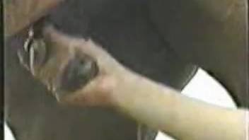 Well-endowed canine vigorously penetrates a dark-haired young woman from the rear