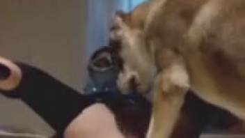 Horny lady recorded while getting fucked by the canine