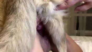 Golden-haired vixen gets slammed by a ravenous beast