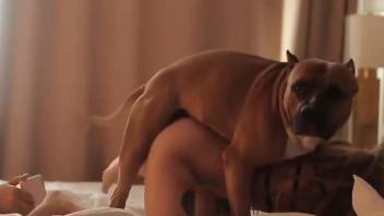 Nude blonde masturbates and lets the dog to join her fun