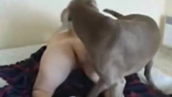 Intense rear-entry banging for a rosy slit whore