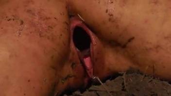 Strange lesbian torture with insects and gape