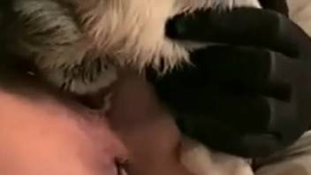 Brunette dominated from behind in a steamy scene