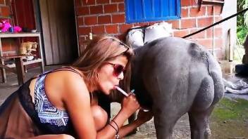 Hot girl in shades fucking a sexy-looking hog