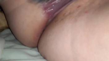 Dog licks woman's pussy when she's masturbating