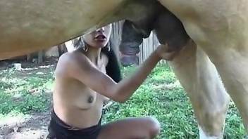 Hot wife gags with the horse's massive dong