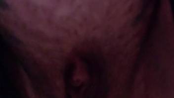 Rear-entry sex scene featuring an extremely perverted beast
