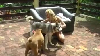 Pigtail cutie having her butthole pounded by a canine