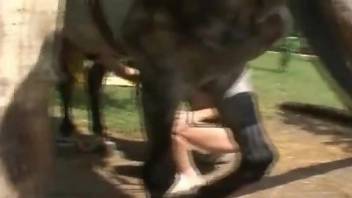 Ponytailed pregnant lady gets fucked by a horse