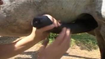 Pregnant newbie whore recounts filthy open-air romps with the stallion