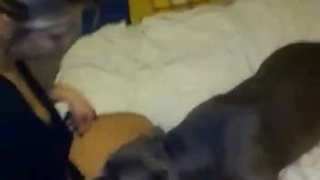 Aroused beast screwing a thick-assed animal lover on the mattress