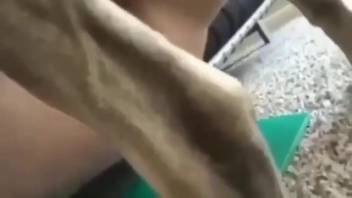 Sexy babe with rosy slit getting pounded by a steamy beast