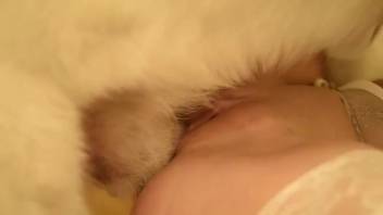 Blonde in cat mask being slammed by a truly hot pup