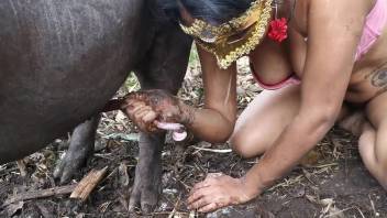 Disguised hottie screws a pig and then an attractive-looking dog
