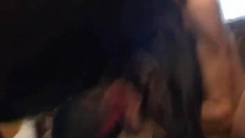 A blonde and a brunette are both pounded by their well-endowed dogs