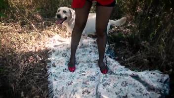 Dark-haired woman in crimson being banged by two hounds simultaneously