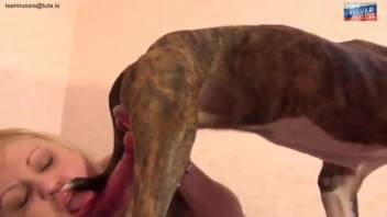 Blonde lady deepthroated by an extremely attractive canine