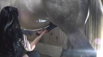 Stunning woman in provocative clothing relishing intense intercourse with a horse