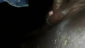Midnight bestiality adventure for an excited dude with a massive dick