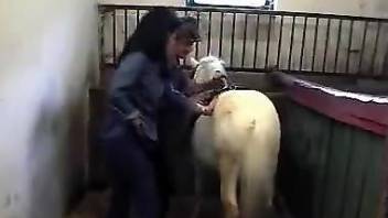 Attentive brunette jerking off a horny white horse