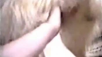 Sexy older women divide a canine penis in super messy styles