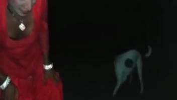 Lone female experiments with canine penis during a late-night webcam session