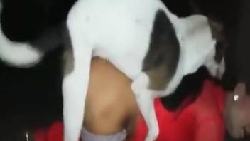 Latina with a big butt enjoying savage sex with a dog