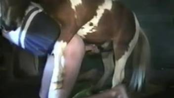 This bestiality adult video demands your full focus
