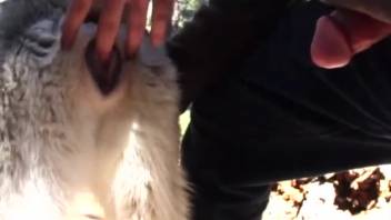 Guy stimulating that beastly cunt before pounding it roughly