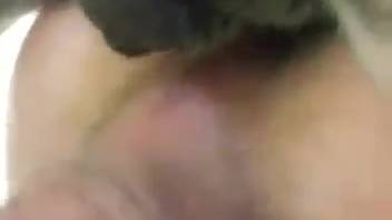 Naked guy takes canine cock deep in his rear