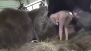 Busty chick getting banged by a well-endowed stud