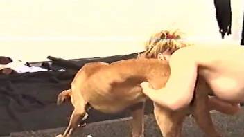 Horny blonde wants this dog's hard, sexy cock
