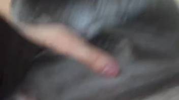Guy's filthy dick stretching that dripping beastly orifice