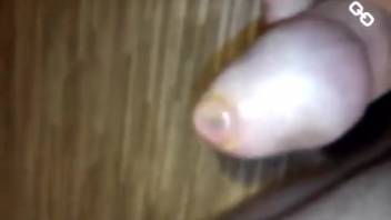 Domestic self-pleasure session involving intense animal insect erotica in amateur adult footage