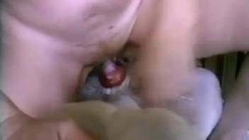 Passionate sex scene featuring a moist-vagined animal lover