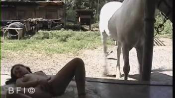 Pale equine penis is caressed and orally stimulated in the open air