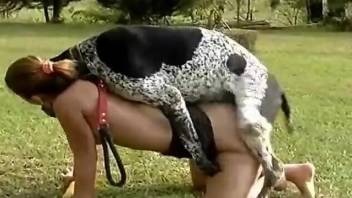 Doggy style fuck with a dog-loving little bitch